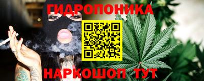 не бодяженный Сланцы