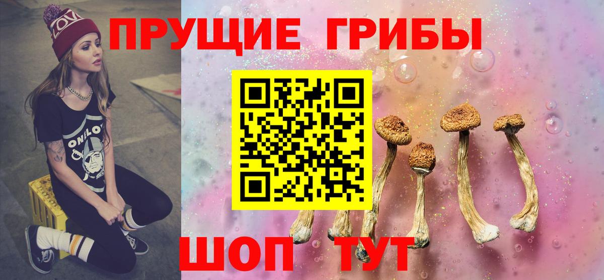 Псилоцибиновые грибы GOLDEN TEACHER Сертолово