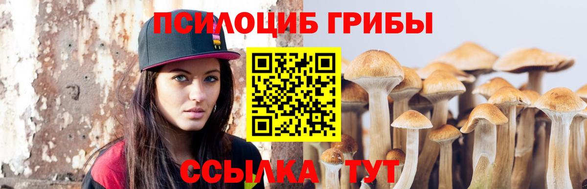 Псилоцибиновые грибы Magic Shrooms  Вход с VPN  Сертолово 