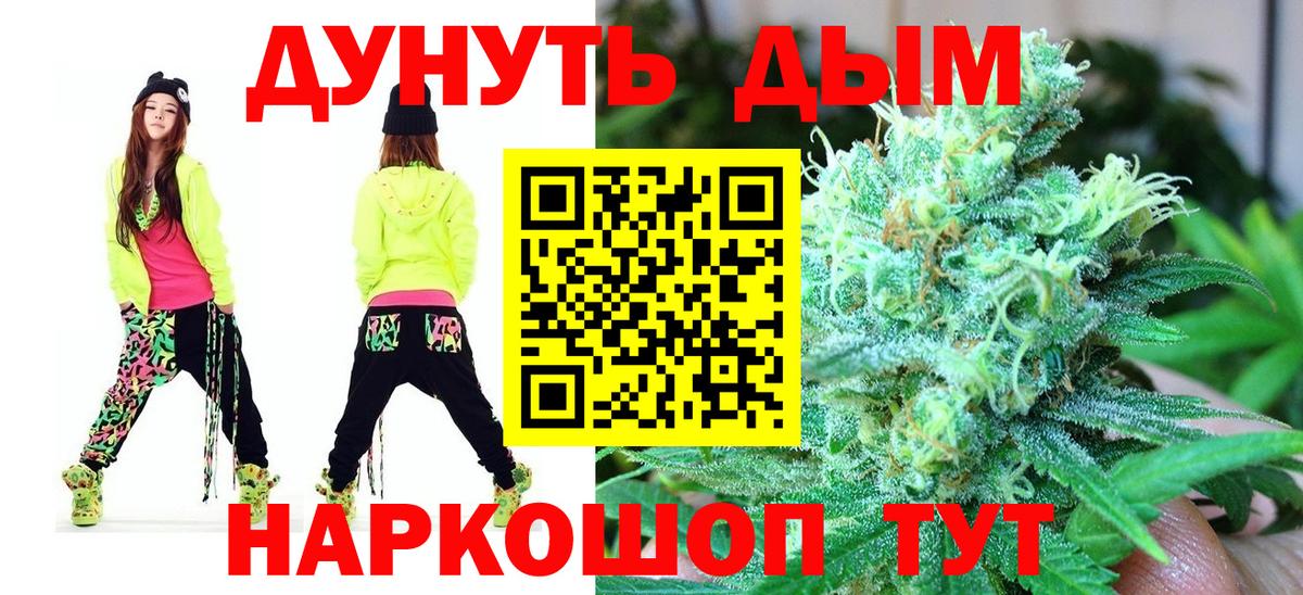 Конопля сатива Сертолово